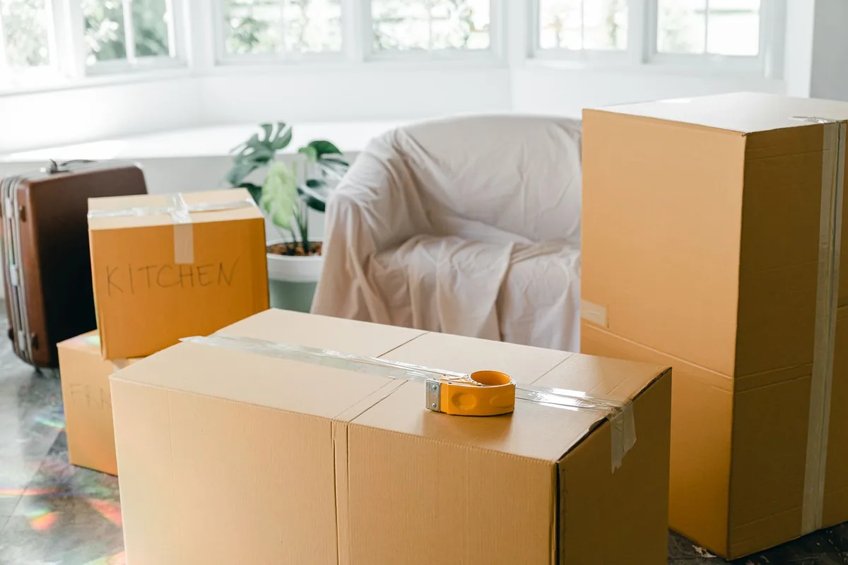 Hoarding Cleanup in Norwood, New York, NY